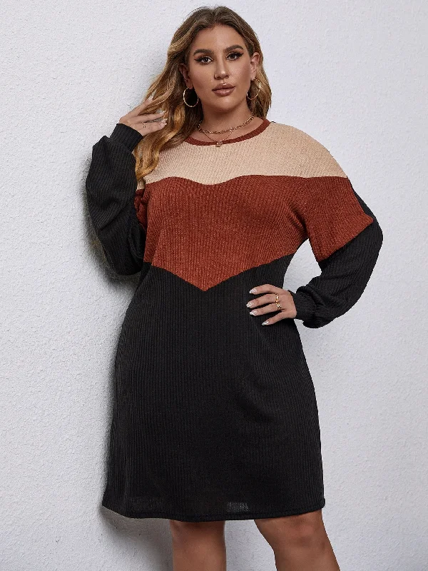 Casual Colorblock Long Sleeve Round Neck Straight Natural Knee Length Plus Size Dress